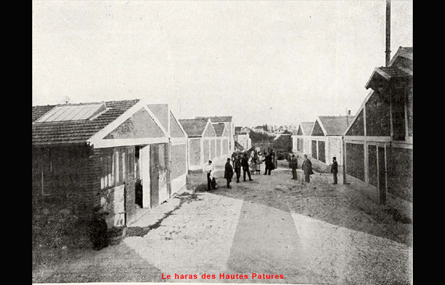 Les bâtiments du haras