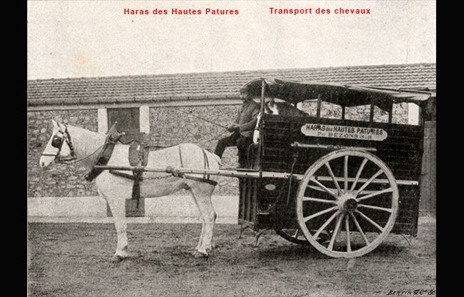 Le haras le van de transport