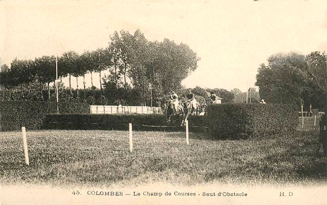 Colombes saut d'obstacle 