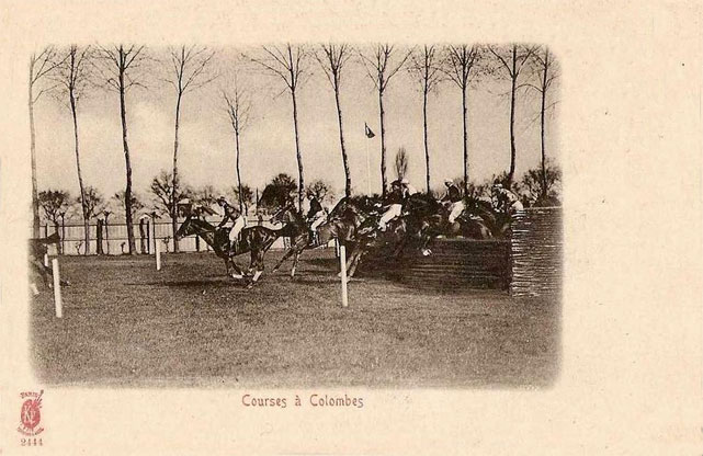 Colombes saut d'obstacle