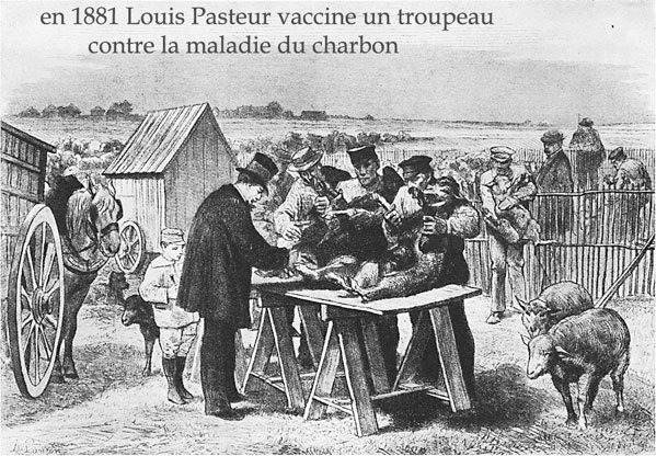 La théorie microbienne 